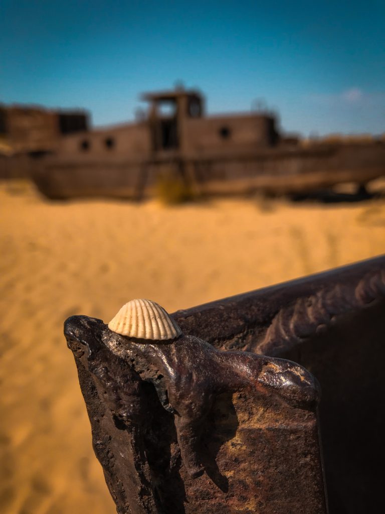 Traces of the past in the cemetery of ships