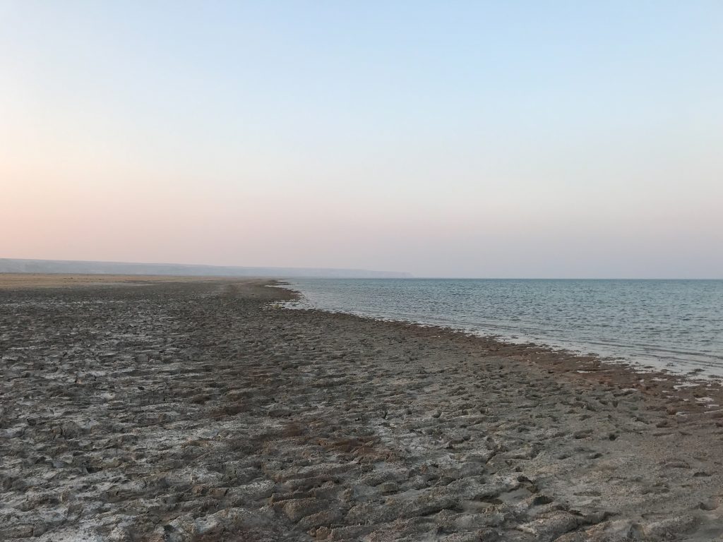 The shore of the Western Aral Sea