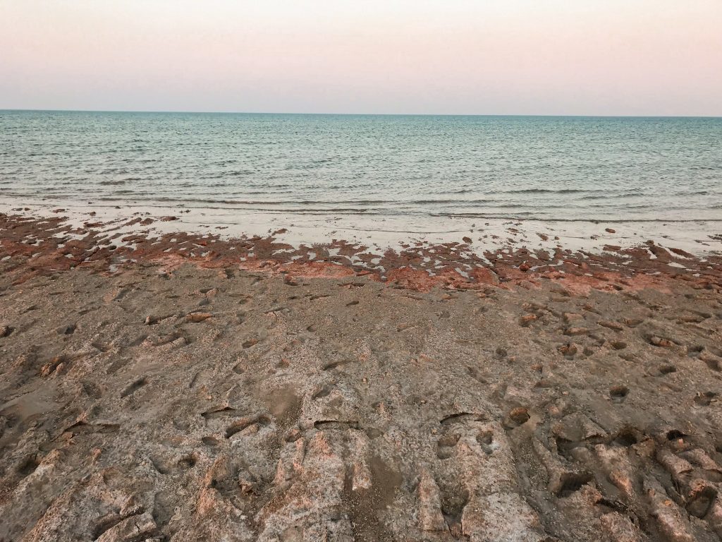 No signs of life in the highly polluted and salty water