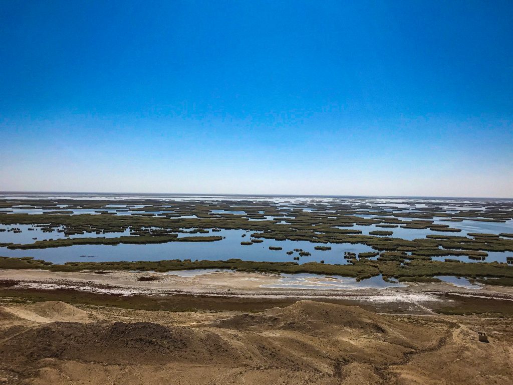Sign of hope in the arid landscape